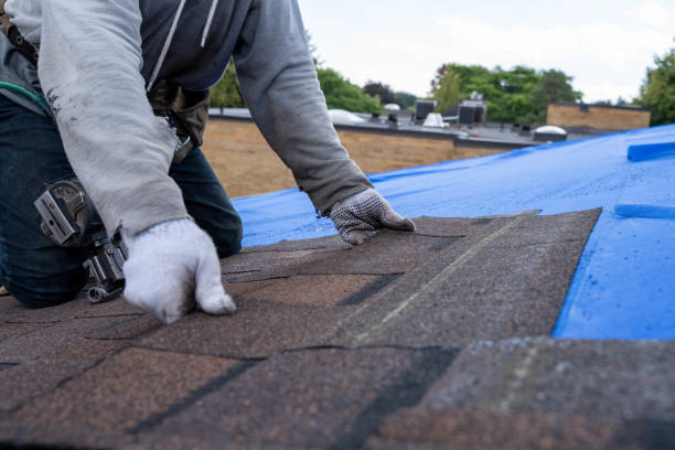Best New Roof Installation  in Jamestown, NY