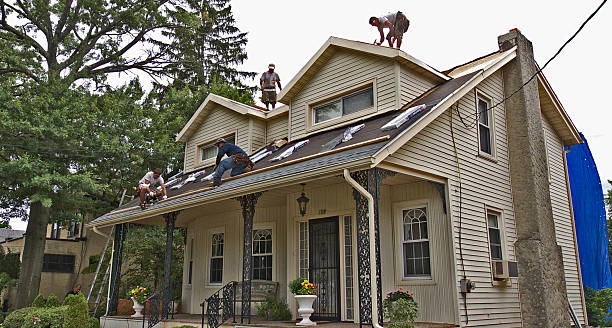 Best Metal Roofing Contractor  in Jamestown, NY